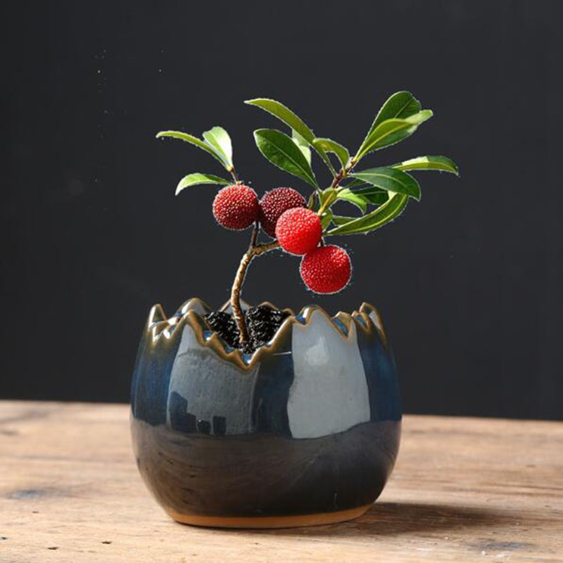 Vaso Criativo de Flor em Forma - Bonsai Garden Art avaliação e preço